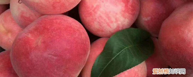 新鲜红桃的存放方法 新鲜红桃如何存放最佳