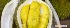 榴莲新鲜带壳存放方法 榴莲新鲜带壳如何存放更好