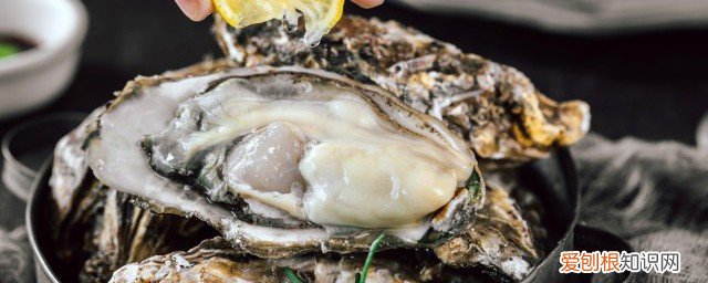 新鲜牡蛎的存放方法 新鲜牡蛎如何存放更好