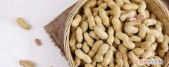 新鲜花生保存技巧 新鲜花生如何保存呢