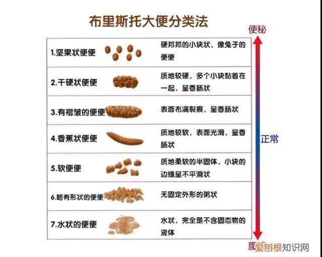 狗狗拉稀是什么原因？ 一篇文章讲透狗狗拉稀！