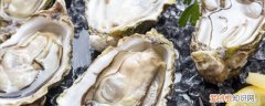 生蚝没开掉可以放冰箱吗 生蚝没开壳常温可以放多久