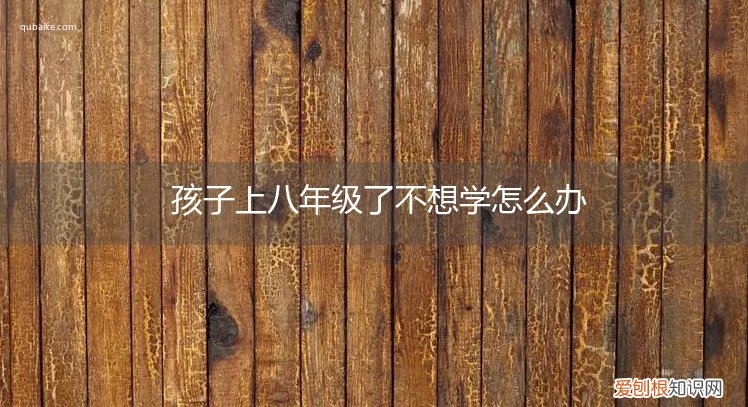 8岁孩子什么都不想学,怎么办 孩子上八年级了不想学怎么办