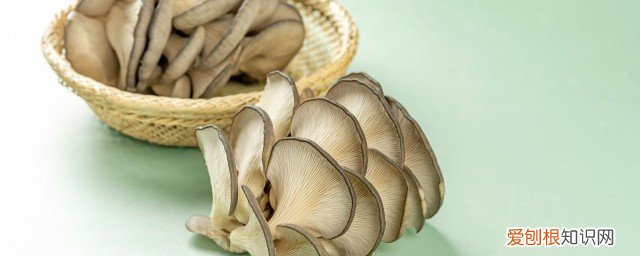 隔夜生蘑菇放冰箱可以吃吗 蘑菇过夜放冰箱能吃吗