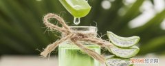 新鲜芦荟可以放冰箱吗 芦荟可以放进冰箱冰冻吗