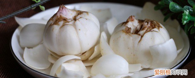 新鲜百合可以放冰箱吗 百合可以放冰箱保存吗