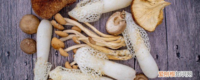 竹荪可以放冰箱吗 竹荪能放冰箱吗