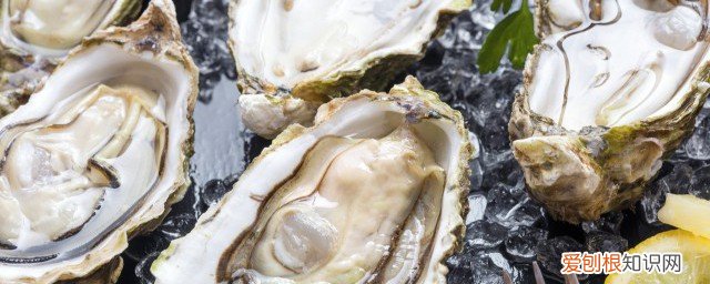 生蚝可以隔夜放冰箱吗 生蚝能不能隔夜放冰箱