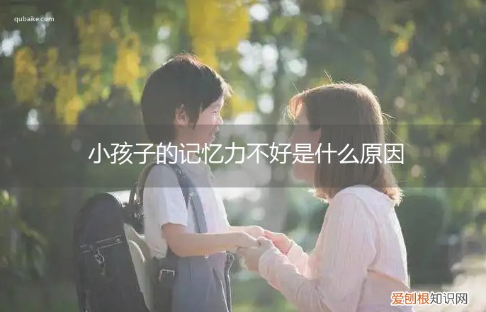 小孩记忆力不好是什么原因造成的? 小孩子的记忆力不好是什么原因