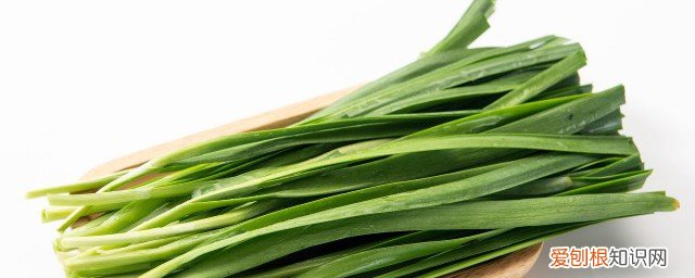 新鲜韭菜可以放冰箱吗 新鲜韭菜能放冰箱吗