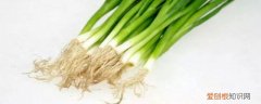 小葱可以放冰箱吗 小葱能放冰箱吗