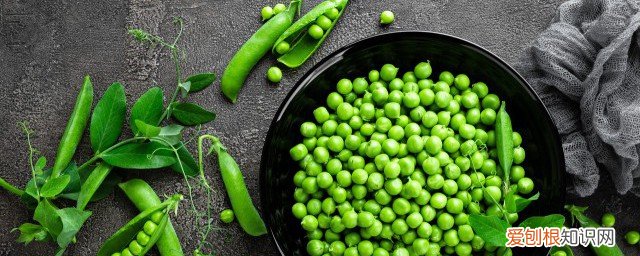 豌豆可以放冰箱吗 豌豆能不能放冰箱