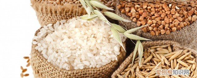 种子可以放冰箱吗 种子可以放冰箱储存不