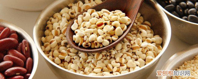 生红豆薏米可以放冰箱吗 生红豆薏米能放冰箱吗