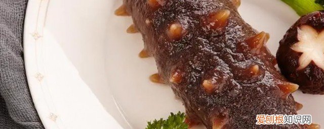 海参可以放冰箱吗 海参能放冰箱吗