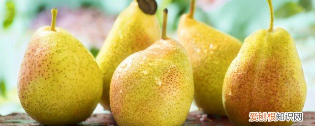 生梨可以放冰箱里保鲜吗 梨子可以放在冰箱里保鲜吗