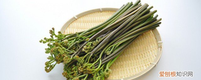 干的蕨菜怎么泡发的快 干的蕨菜如何泡发的快