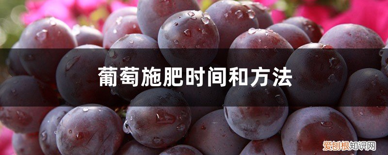 葡萄施基肥时间和方法 葡萄施肥时间和方法