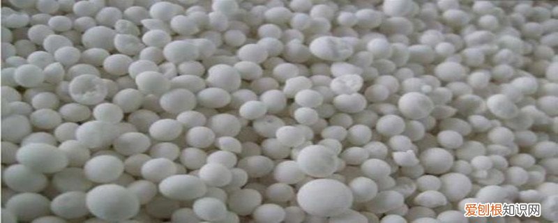 养花施肥在几月份 养花施肥的时间有哪几个月