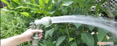 养花浇水的方法 养花浇水施肥技巧
