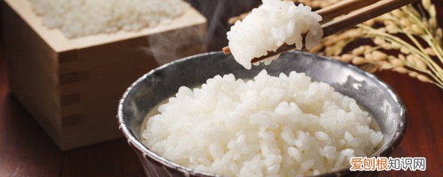 热饭可以直接放冰箱吗 热饭可不可以直接放冰箱