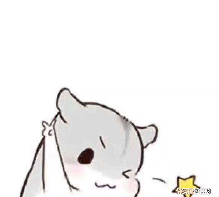 漳州滨海火山国家地质公园攻略,福建漳州滨海火山国家地质公园