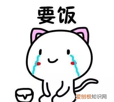 漳州滨海火山国家地质公园攻略,福建漳州滨海火山国家地质公园