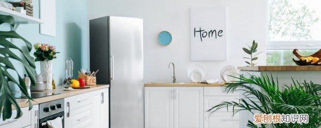 泡沫可以放冰箱吗 泡沫能不能放冰箱里