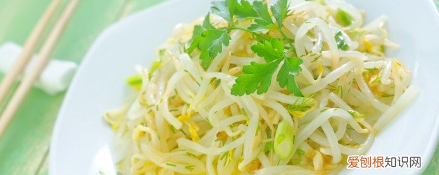 豆芽可以放冰箱吗 豆芽可以放冰箱保存吗