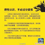 狗舔了破皮的伤口怎么办 狂犬病又不是每只狗都有!