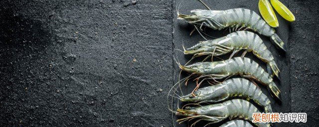怎么挑虾才最新鲜 如何挑选虾才最新鲜呢