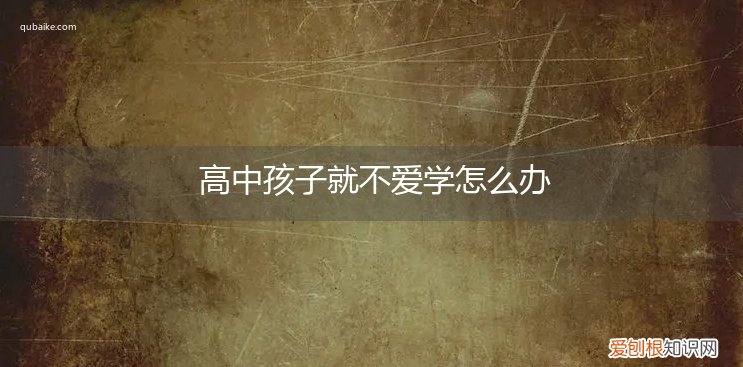 高三孩子不爱学,总想着玩怎么办 高中孩子就不爱学怎么办