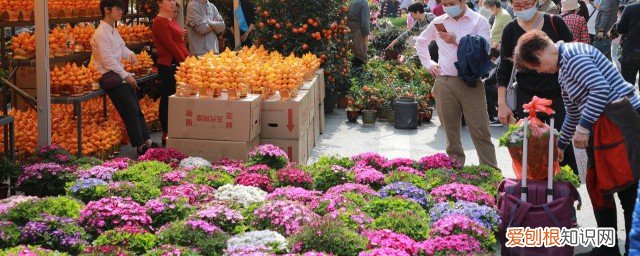 春节去摆什么摊儿 春节前摆地摊卖什么最赚钱