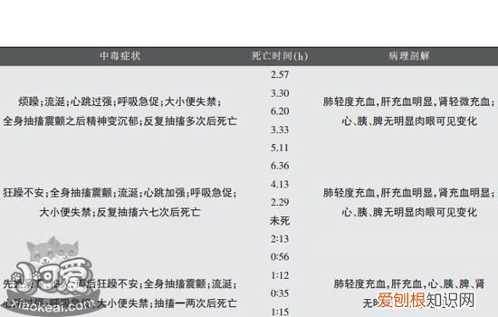 狗狗异烟肼中毒抢救成功的案例 狗狗异烟肼中毒怎么解