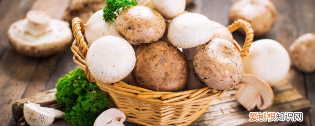 新鲜菌怎么保存 储存菌类的技巧