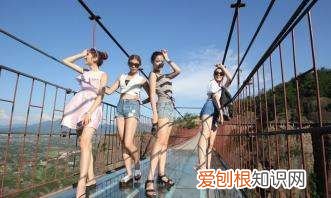 深圳玻璃栈道在哪里,深圳西丽生态公园玻璃桥