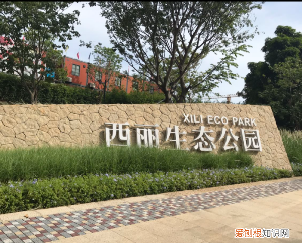 深圳玻璃栈道在哪里,深圳西丽生态公园玻璃桥