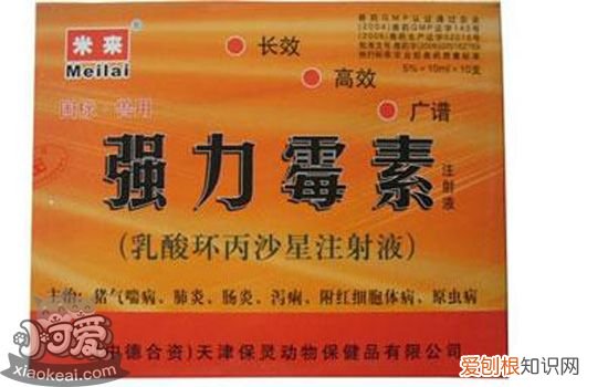 狗狗抗生素过量的表现 别在宠物医院只能听医生的话