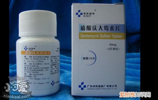 狗狗抗生素过量的表现 别在宠物医院只能听医生的话