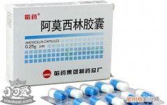 狗狗抗生素过量的表现 别在宠物医院只能听医生的话