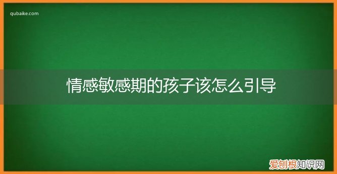 情感敏感期的孩子该怎么引导