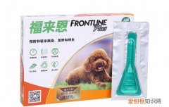 狗狗杀虫用什么药 怎么给狗狗驱虫什么药效果好