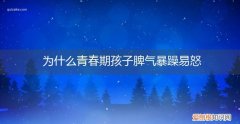 为什么青春期孩子脾气暴躁易怒易哭 为什么青春期孩子脾气暴躁易怒