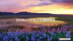 怎样和12岁男孩沟通 如何和12岁孩子沟通和交流
