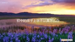 初中的孩子上学不认真怎么办呀 初中的孩子上学不认真怎么办