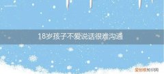 17岁孩子不爱说话不爱交流怎么办 18岁孩子不爱说话很难沟通