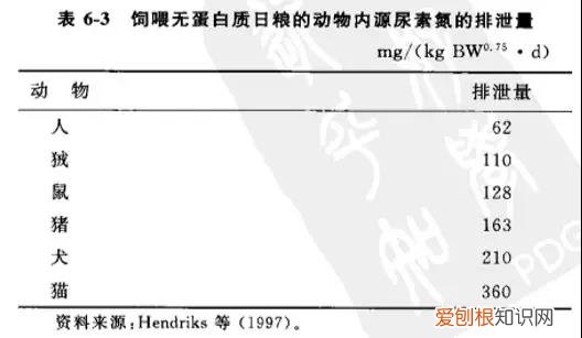 猫高蛋白的食物有哪些,猫吃什么高蛋白的东西吗,猫消化不良高蛋白怎么办