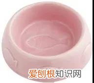 猫咪新换猫粮不吃食怎么办 如何让猫咪更换新猫粮,换猫粮过渡,猫更换猫粮不吃怎么办