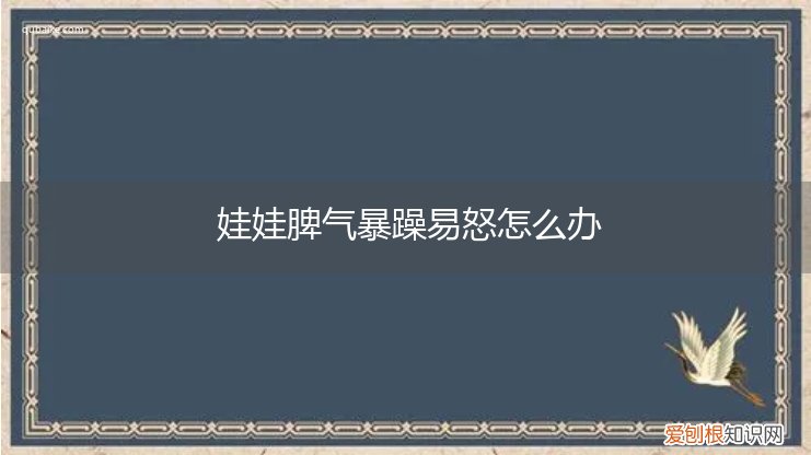 娃的脾气暴躁怎么办 娃娃脾气暴躁易怒怎么办