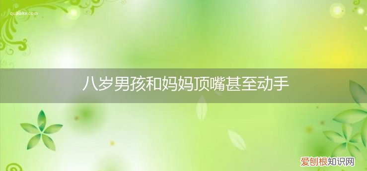 8岁男孩老是顶嘴怎么办呢 八岁男孩和妈妈顶嘴甚至动手